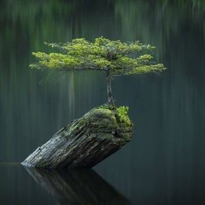 Meet your Posher, Minh ngọc